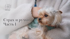 Страх и ручки. Часть 1