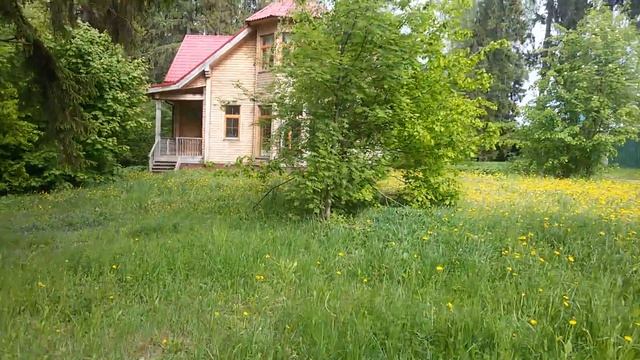 Путешествие по участку вокруг дома. Коттедж на берегу пруда в соснах. смотреть онлайн