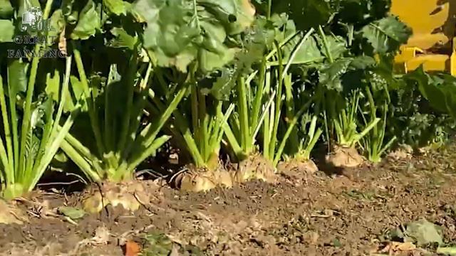 WOW!!! Amazing Agriculture Machines That Are At Another Level