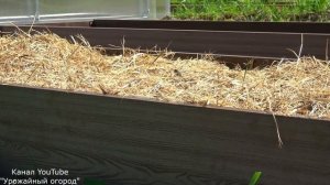 Отзыв Татьяны о теплой высокой грядке из ДПК