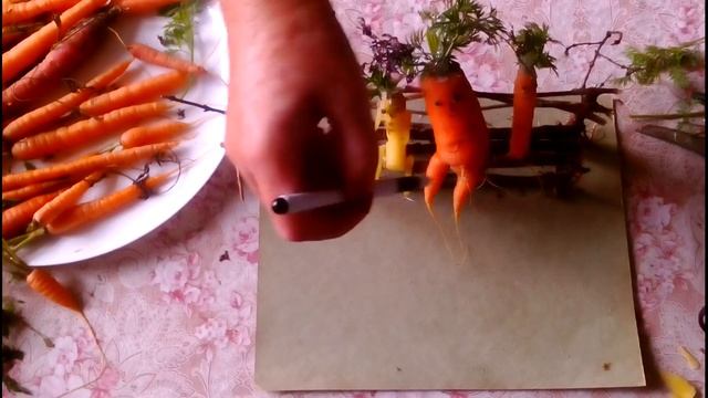 Осенняя поделка из природного материала в школу, садик "Три подружки". Осенние поделки смотреть онлайн