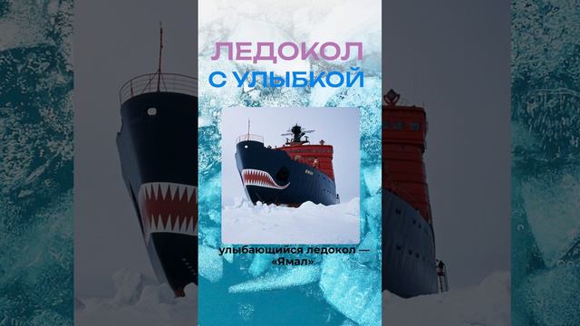 А ты знаешь, что Россия – единственная в мире страна с атомным ледокольным флотом?