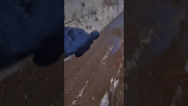 21 февраля 2021 г.