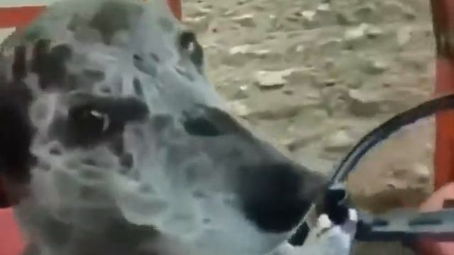 Делегирование полномочий в инфобизнесе смотреть онлайн