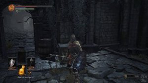 Dark Souls 3 Профессиональное Прохождение Ч.8 - Лес Мучений/Босс Знаток Кристальных Чар