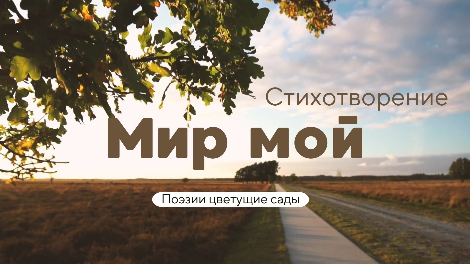 Стихотворение мой мир. Стих я вас люблю мои ученики. Красивые стихи о мире. Мой взгляд на мир в стихах. Люблю этот мир.