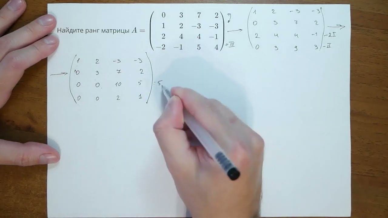 11331