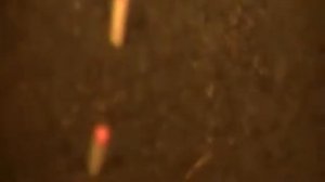 Результаты эксперимента с омагничиванием семян перца