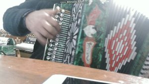 Карело финская полька от Vasili Popozoglo(творчество моих подписчиков).