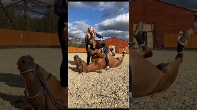 Трюковая Арабская кобыла Тыковка/Жоржетта Терск и Наталья