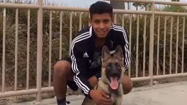 Koda (Year One) смотреть онлайн