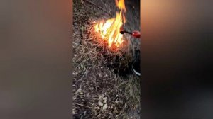 Как горит сухая трава