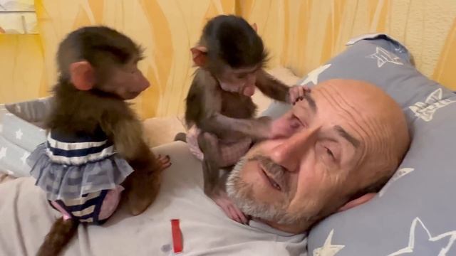 Степашка и Маняшка связали папу Влада по рукам и ногам)))