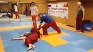 элементы Сань Хуан Фа