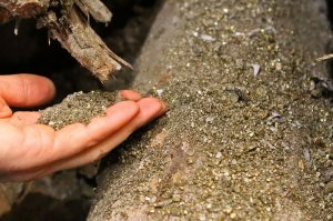 ВОТ В ТАКИХ РУЧЬЯХ И НАДО ИСКАТЬ ЗОЛОТО!