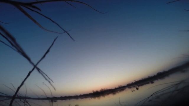 Охота с подсадными на селезня весна 2021
