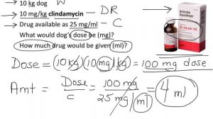 Medical calculations, part 2, Veterinary Pharmacology