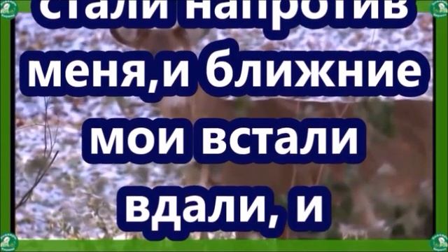 МОЛИТВЫ НА ОКТЯБРЬ ДЛЯ УЛУЧШЕНИЯ ЗДОРОВЬЯ И МАТЕРИАЛЬНОГО БЛАГОПОЛУЧИЯ | ЗНАХАРЬ-КИРИЛЛ +Псалом 37✝ смотреть онлайн