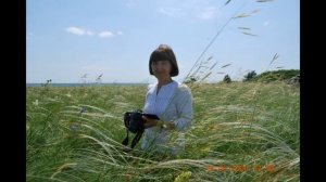 ,,Сверчок,, Сергей Постолов