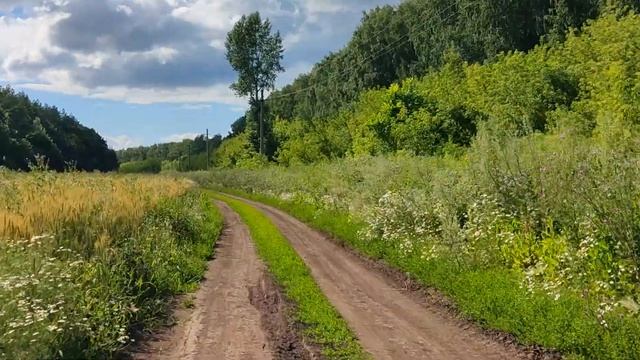 ВЕЛОПУТЕШЕСТВИЕ  В ОДИНОЧКУ | (ДЕНЬ 38) | НА ВЕЛОСИПЕДЕ ПО УРАЛУ | УФА