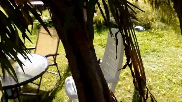 Живая беседка из ивы. смотреть онлайн