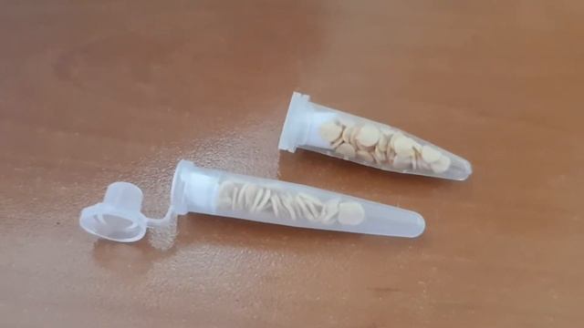Посев перца на рассаду??