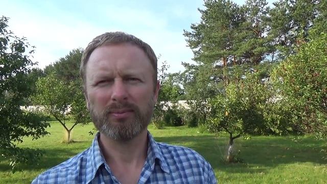 Мои приоритеты в жизни