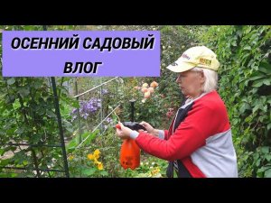 Осенний садовый влог/Обработайте сад осенью/Переделываем грядки/Чем опрыскиваю свои розы@SubTatiana