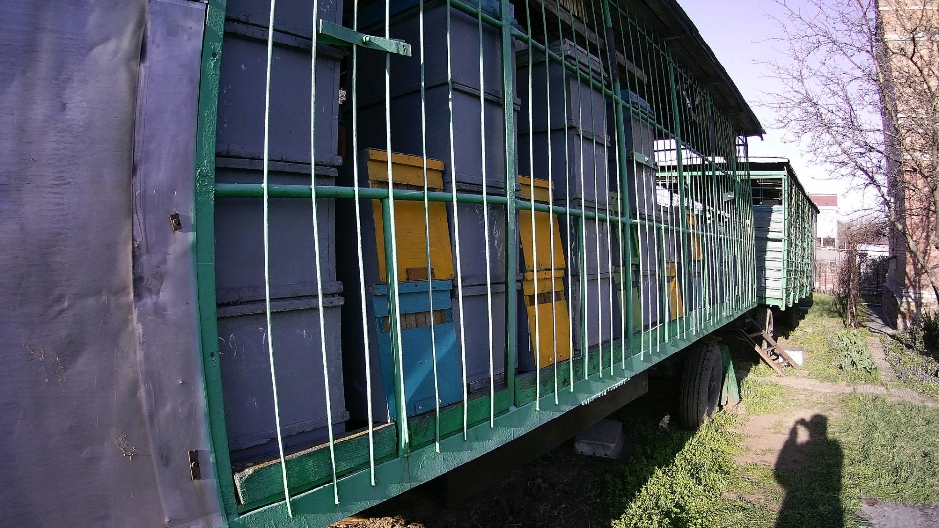 Прицеп для перевозки пчел.Пасека в городе на приусадебном участке.