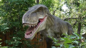 Новосибирский Зоопарк: Динопарк внутри