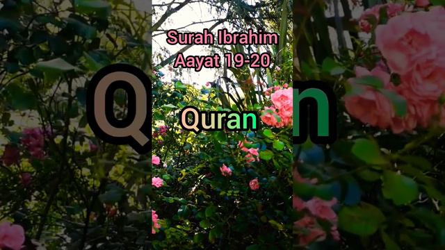 Surah Ibrahim aayat 19-20#islamicstatus #shortvideo