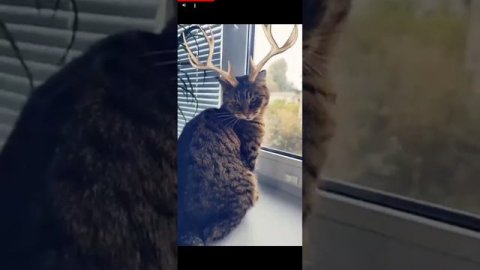 самая популярная игра 3