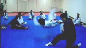 SIN MOO HAPKIDO PORTUGAL - KICKS, LOCKS AND THROWS