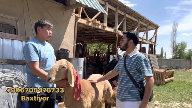 20000$ 25000$ 30000$ qochqorlar 😳😳😳💸📱📲💵💸💵🎥📹+996705474733 BAHTIYOR BAYKEY смотреть онлайн