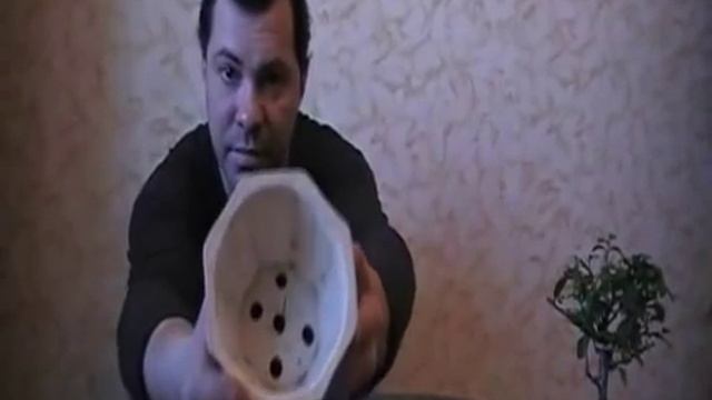 Бонсай-микс 2-1 смотреть онлайн