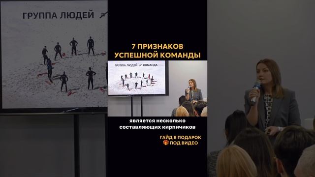 7 элементов успешной команды