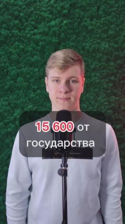 15600 от государства