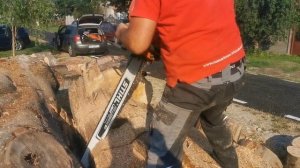 husqvarna 395xp in big beech