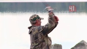 Мёртвые карпы на озере Шарташ