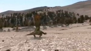 Диметродон | Первый охотник