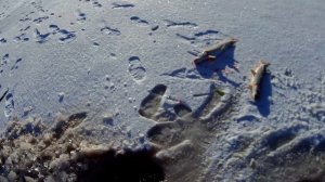 Зимняя рыбалка 2019-2020, на щуку .