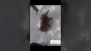 Сагчанг дар Файзобод