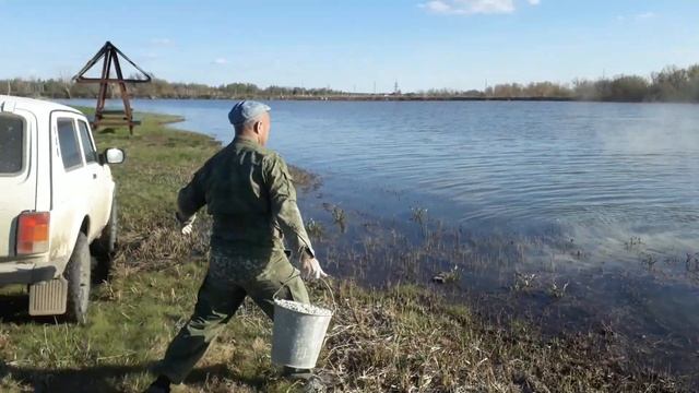 пруд Черноморец 29.04.19г. известкование водоёма.