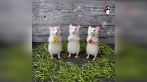 "Мышка, которая ела кошек" Джанни Родари