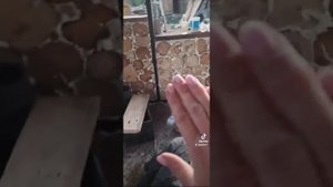 как мы строили дом из чурок #пеночурка