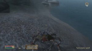Oblivion | Даэдрические доспехи на 1 уровне | Секреты Oblivion