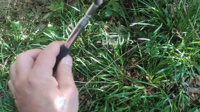 Палка телескопическая для поиска Грибов | Палка Грибника | В лес за съедобными грибами