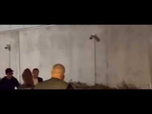 Павел Дуров вышел на свободу