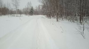 Прогулка с собакой в минус сорок. Не повторять! Опасно для жизни!