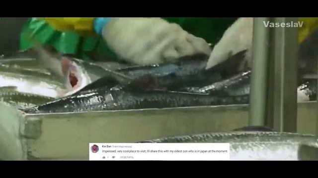 ОСТРОВ САХАЛИН - Комментарии иностранцев смотреть онлайн